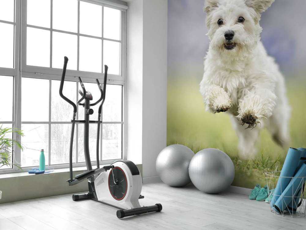Laufender Hund