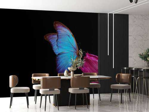 Schmetterling auf Tulpe
