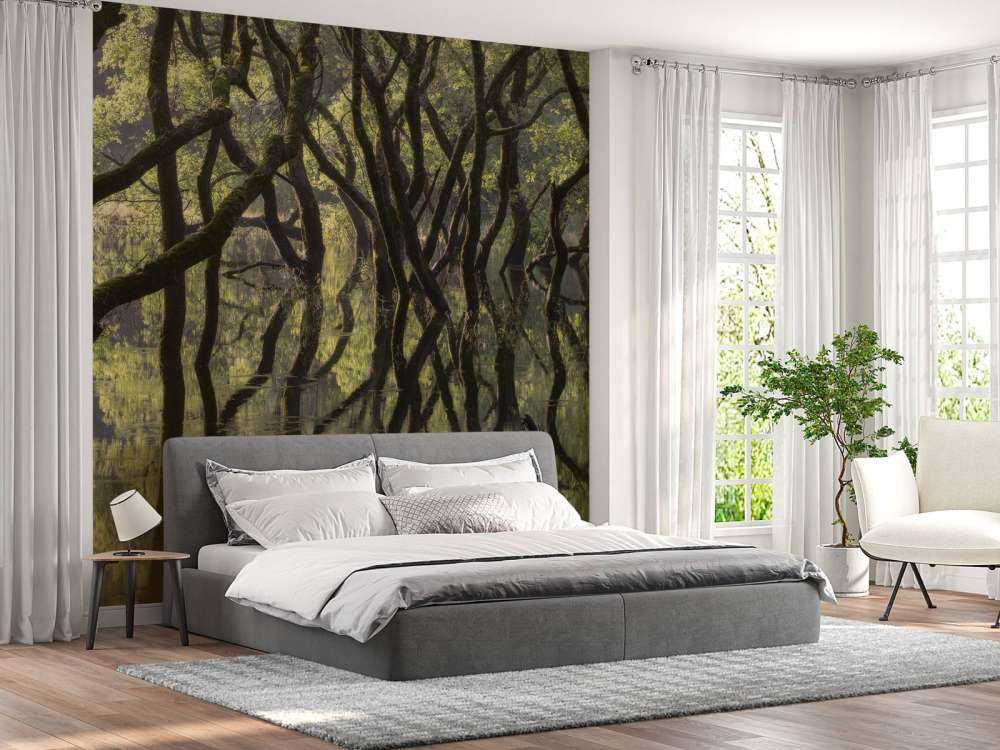 Sunken Forest