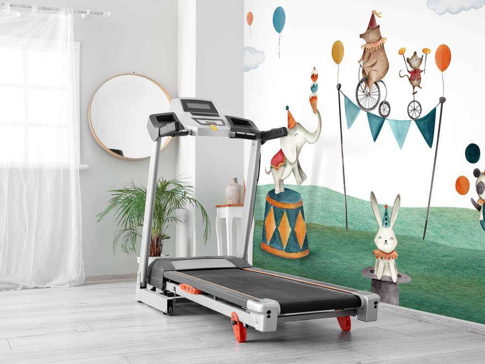 Crazy Circus