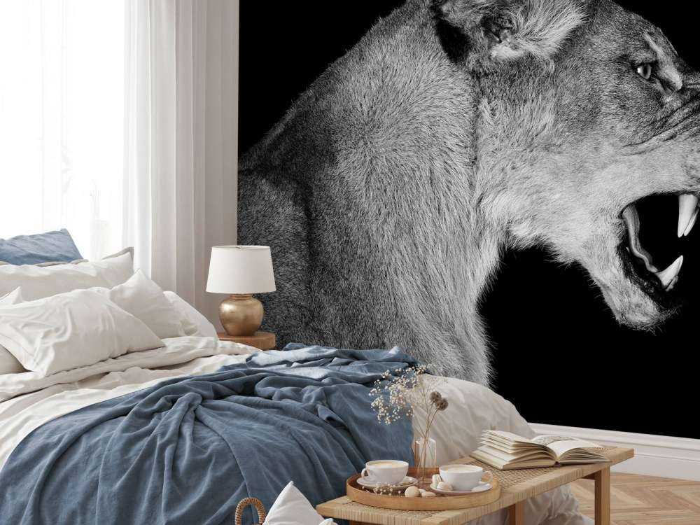 Löwin Seitenansicht schwarz