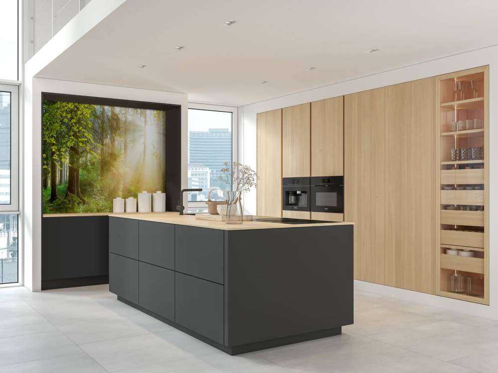 Waldlandschaft bei Sonnenaufgang