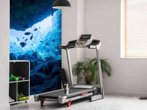 Enge Höhle mit Fischen