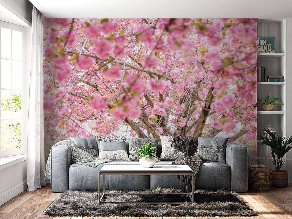 Blüte Baum