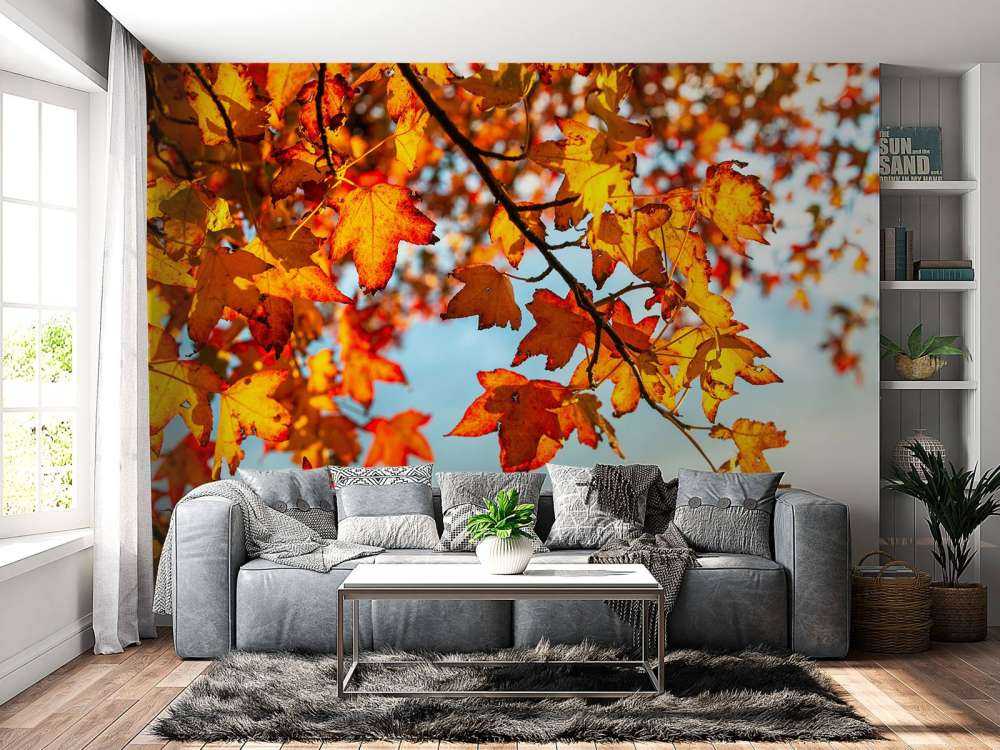 Herbstblätter