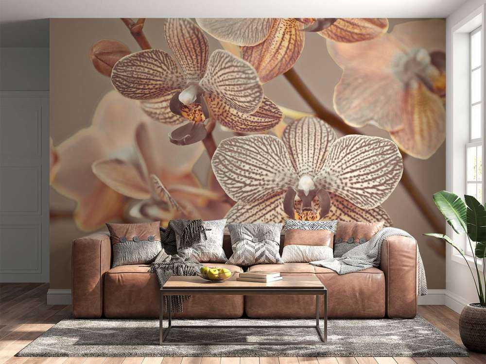 Nahaufnahme einer Orchidee