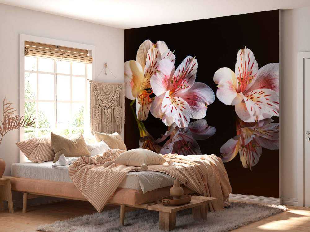 Alstroemeria blüht mit Reflexion