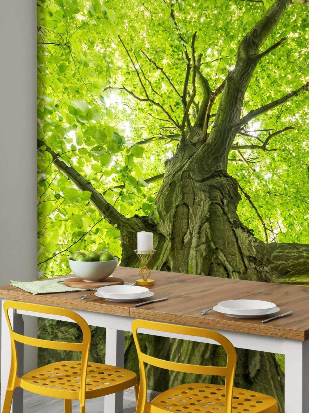 Großer Baum im Wald