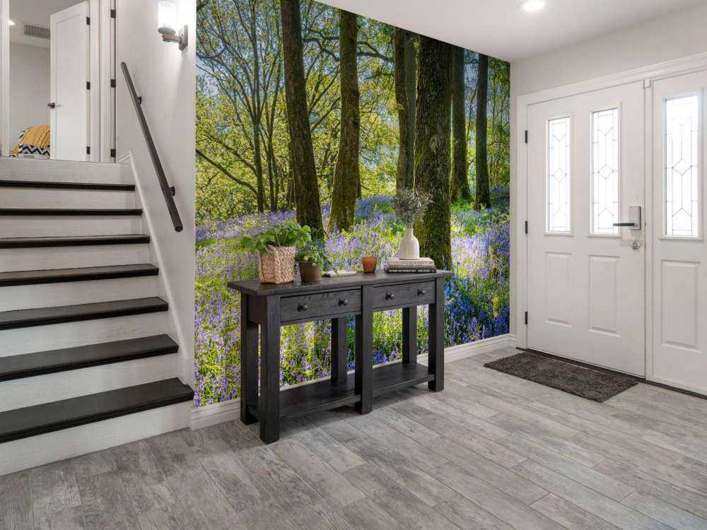 Panorama des Frühlings im Wald