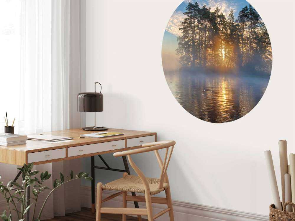 Morning light