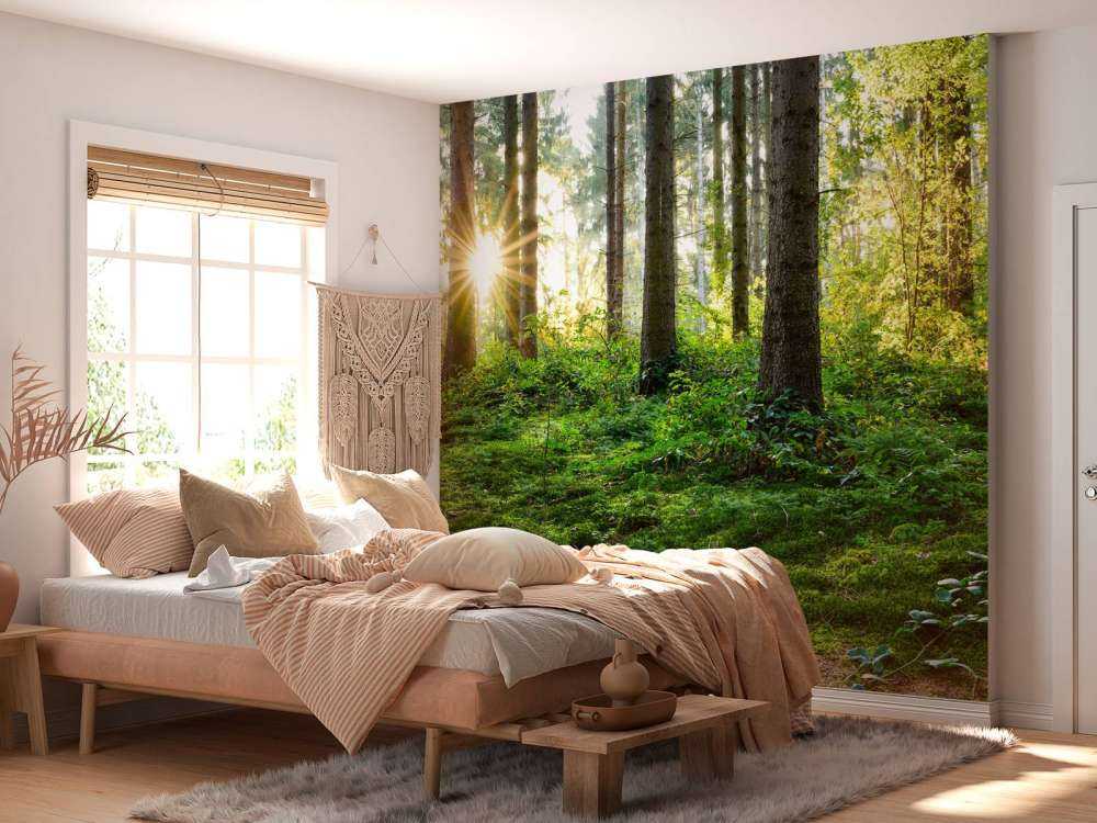 Waldpanorama im Frühling