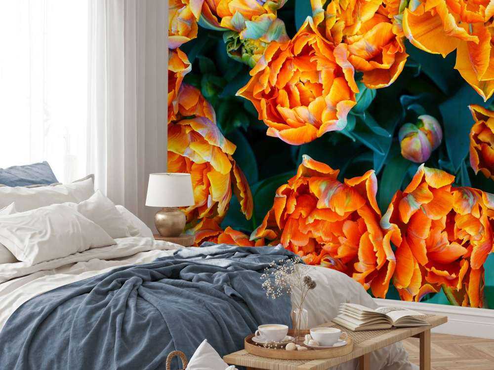 Nahaufnahme orangefarbene Tulpen