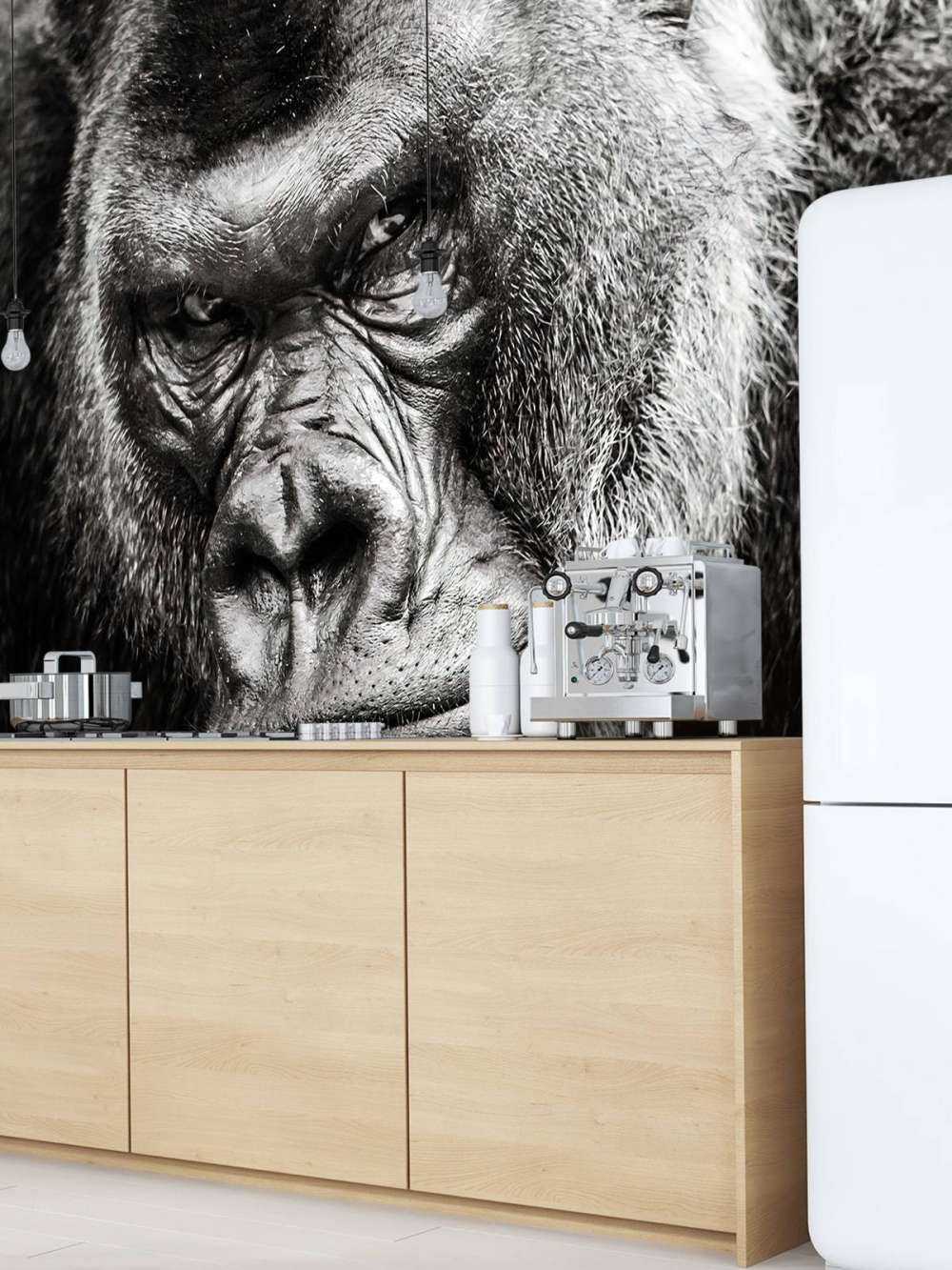 Nahaufnahme Gorilla