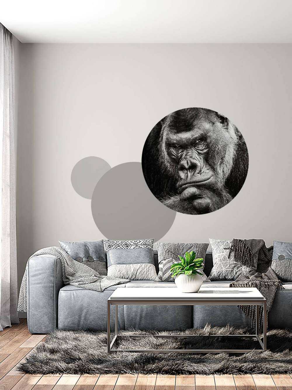 Nahaufnahme Gorilla