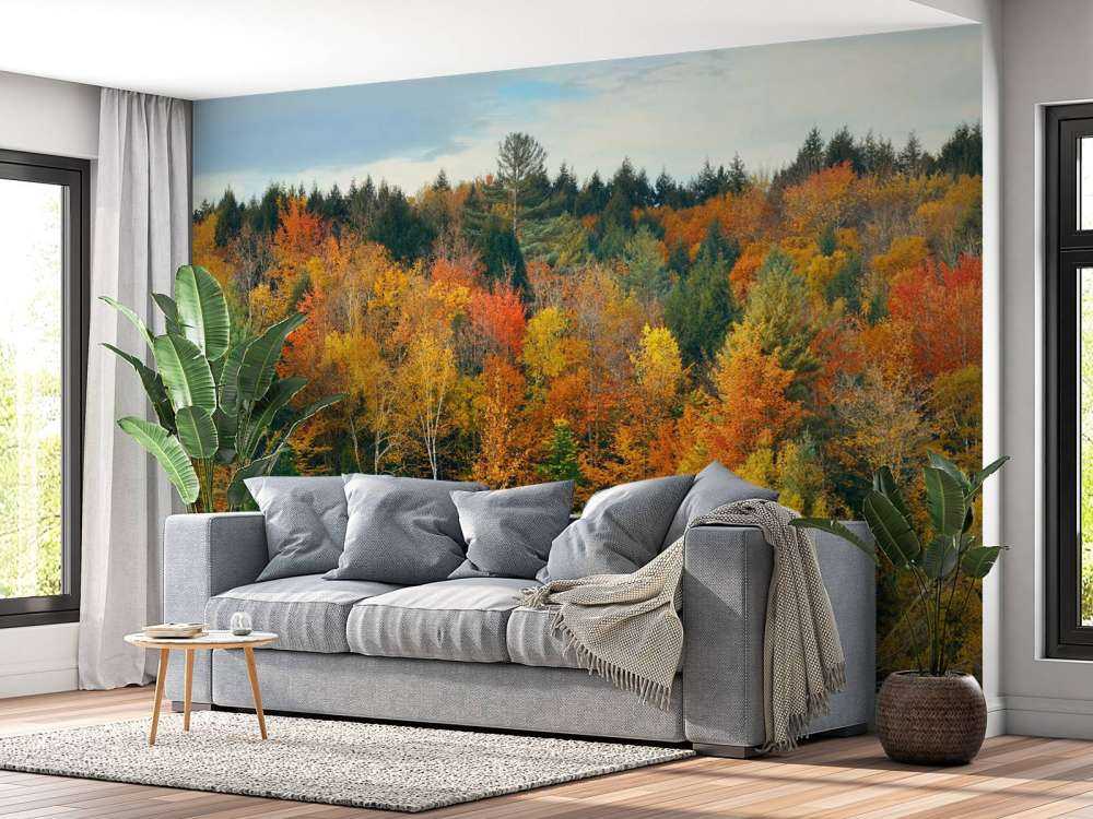 See von Herbstbäumen