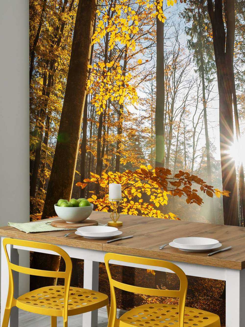 Herbstwald