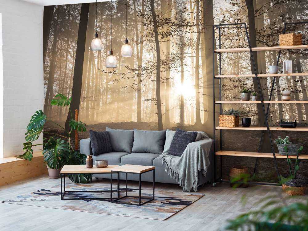 Sonnenstrahlen in einem nebligen Wald