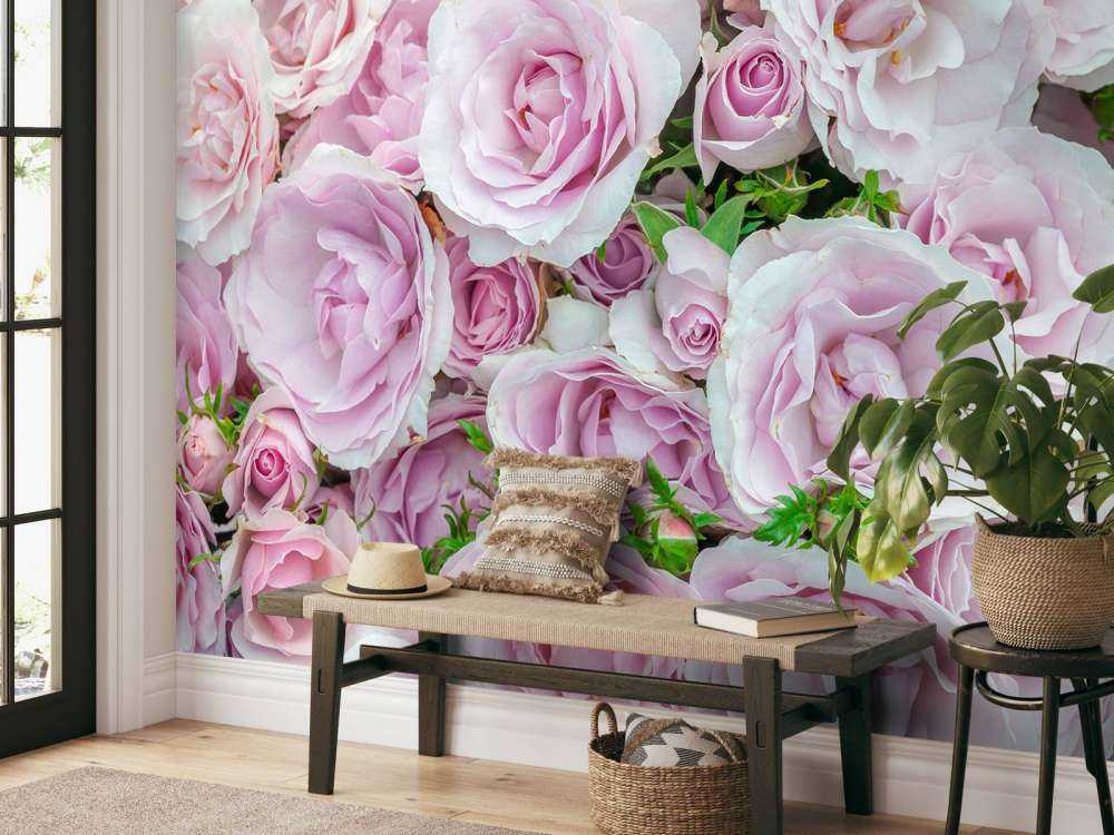 Bunte weiße und rosa Rosen