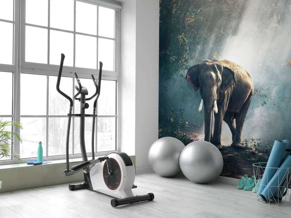 Elefant im Dschungel
