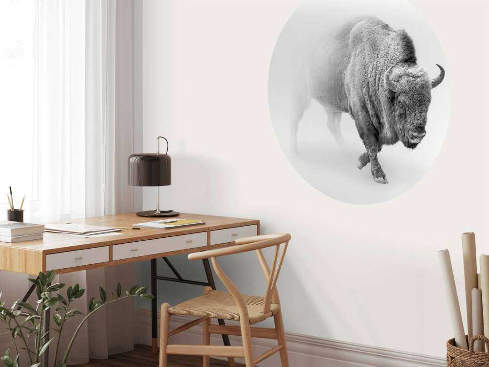 Bison schwarz, weiß