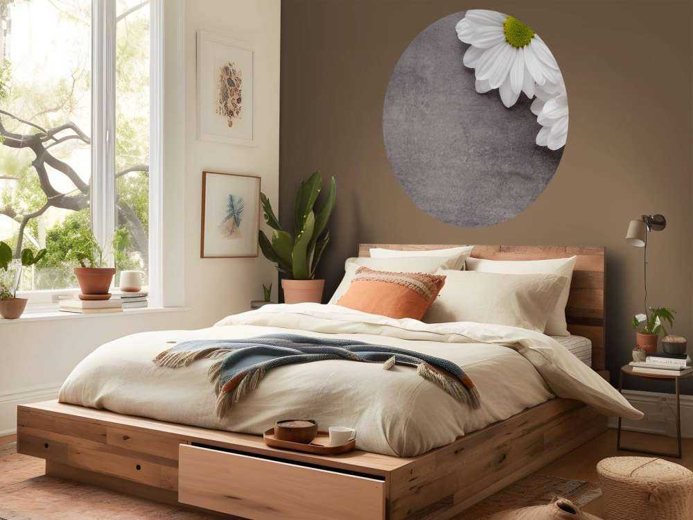 Gänseblümchen und Beton