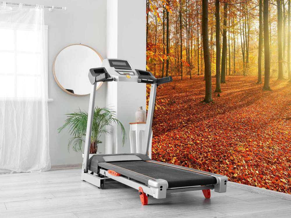 Herbstmorgen im Wald