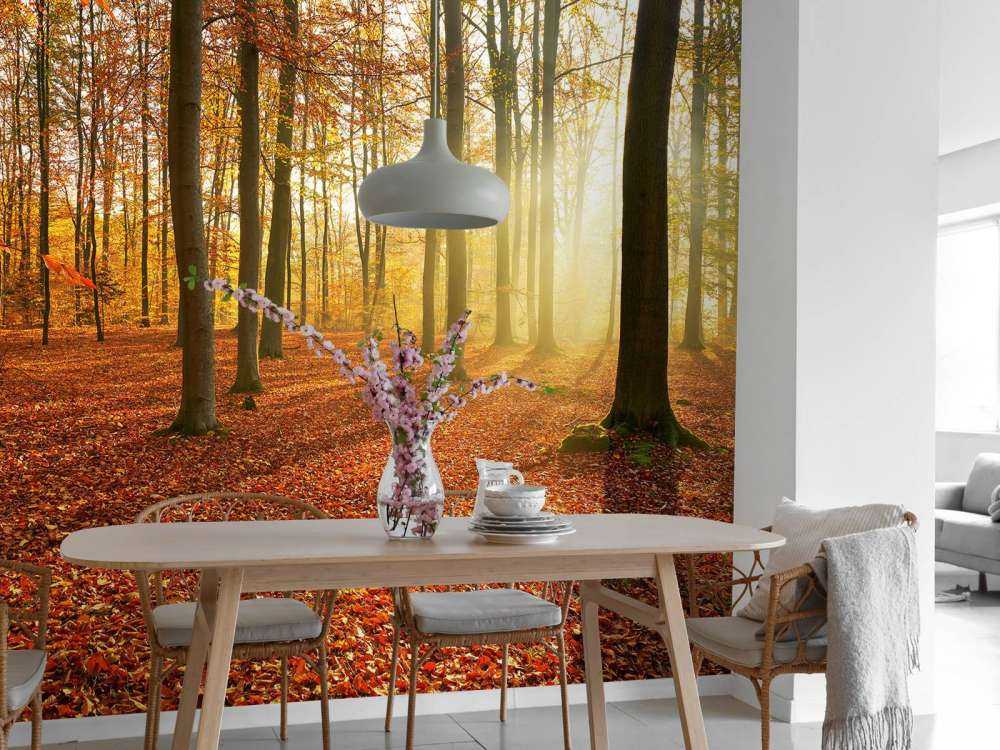 Herbstmorgen im Wald