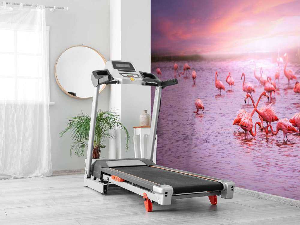 Flamingo mit Sonnenuntergang