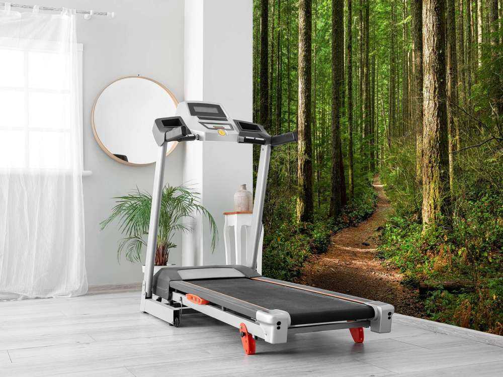 Pfad im Wald