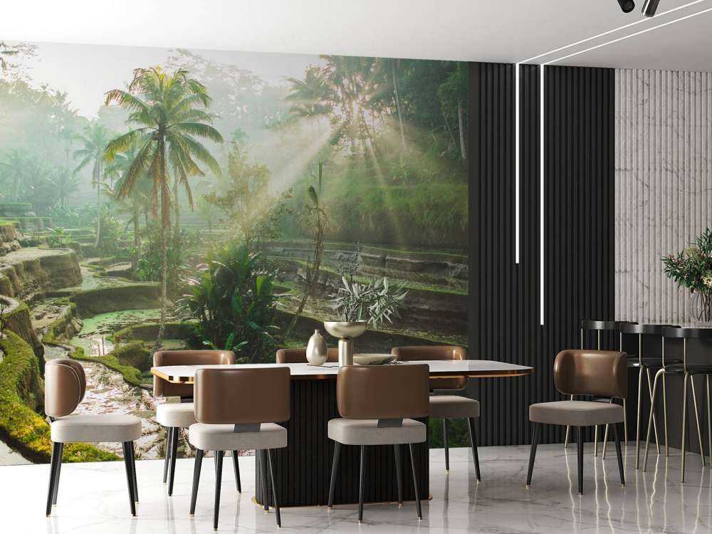 Reisfelder im Dschungel