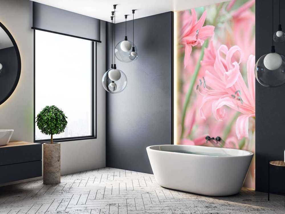 Nerine Blumen