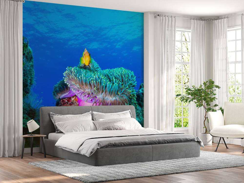 Sea life