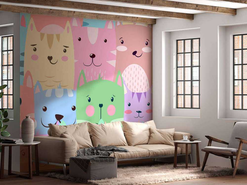 Bunte Katzen