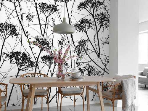 Silhouette of dried plants