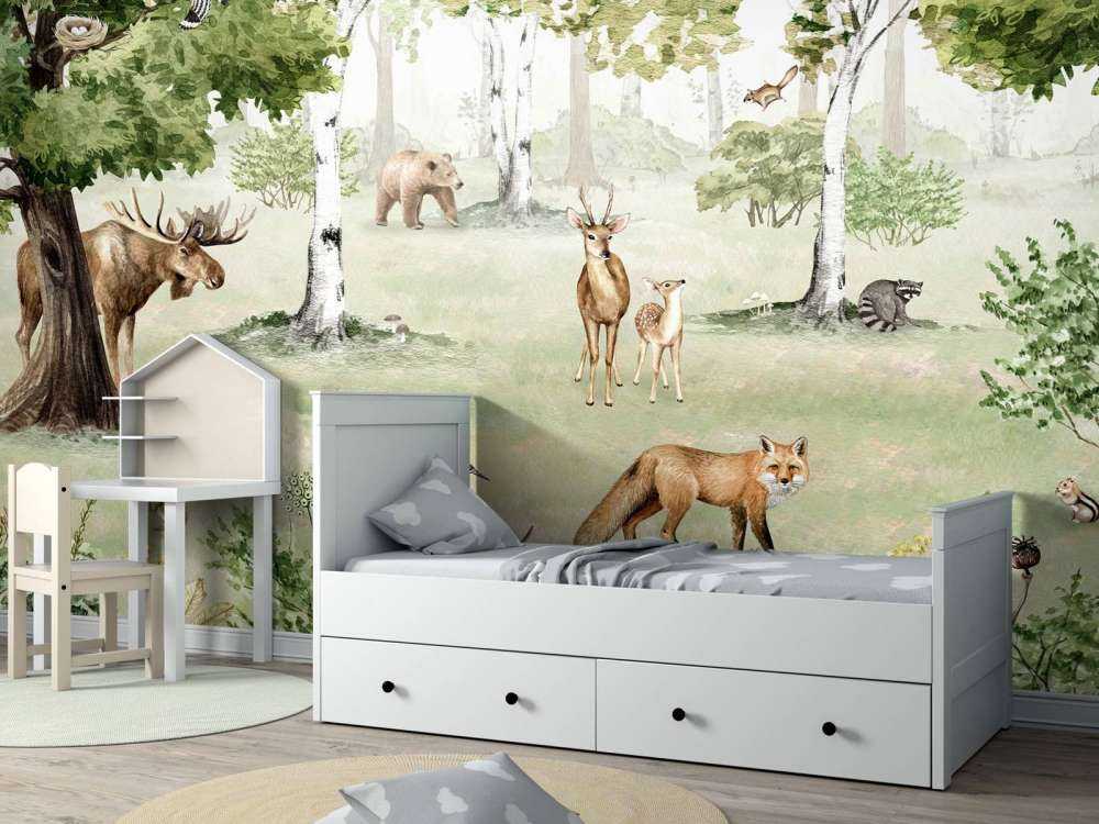 Woodland Wonders