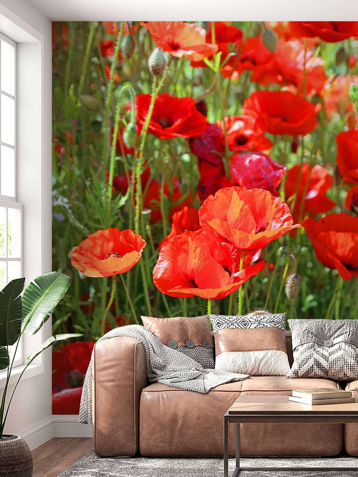 Nahaufnahme von Mohnblumen