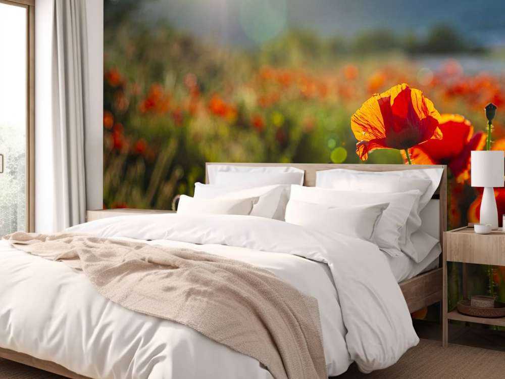 Mohnblumen mit Sonnenstrahlen