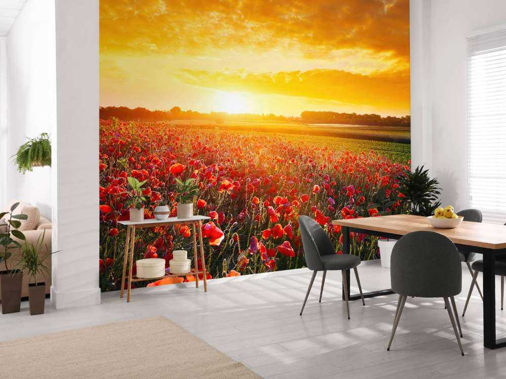 Mohnblumen und Sonnenuntergang