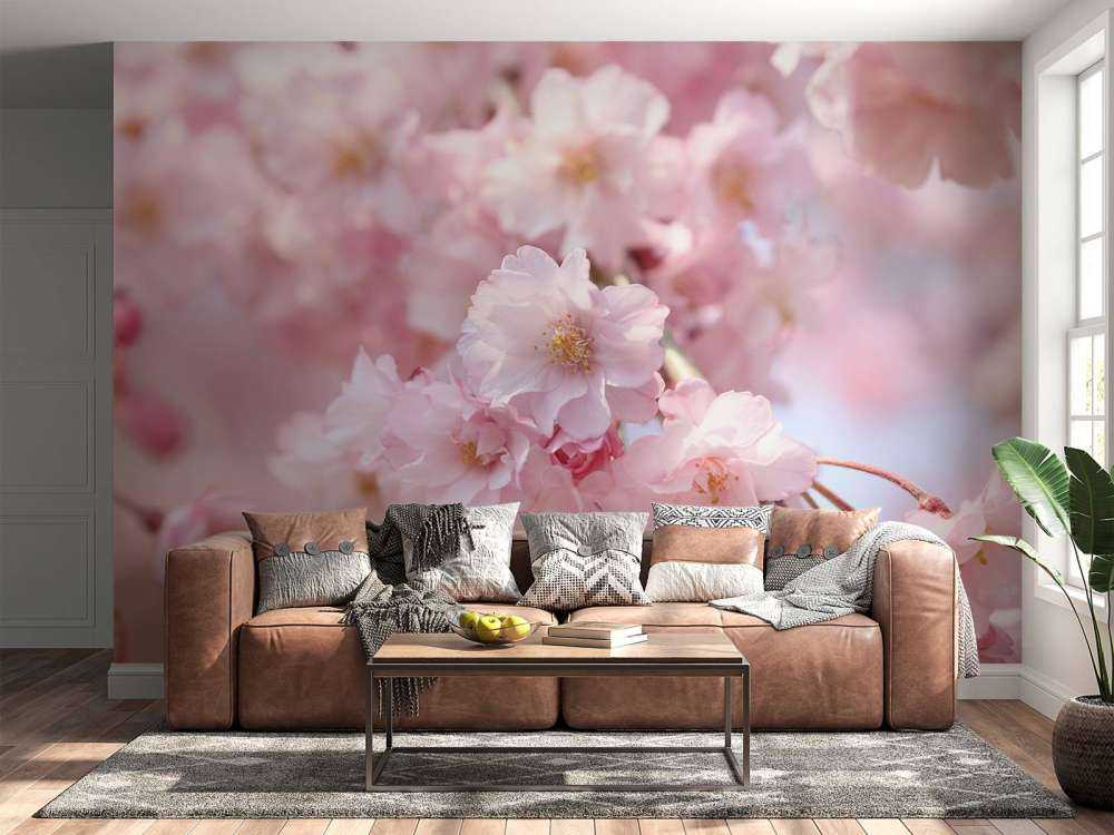 Nahaufnahme rosa Blüten