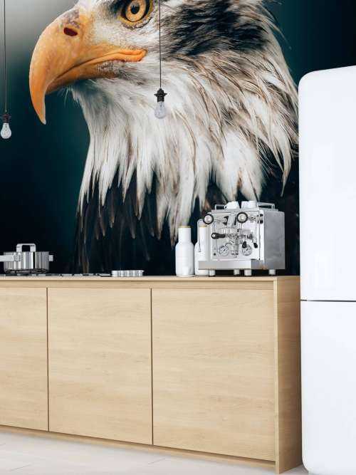 Nahaufnahme Seeadler