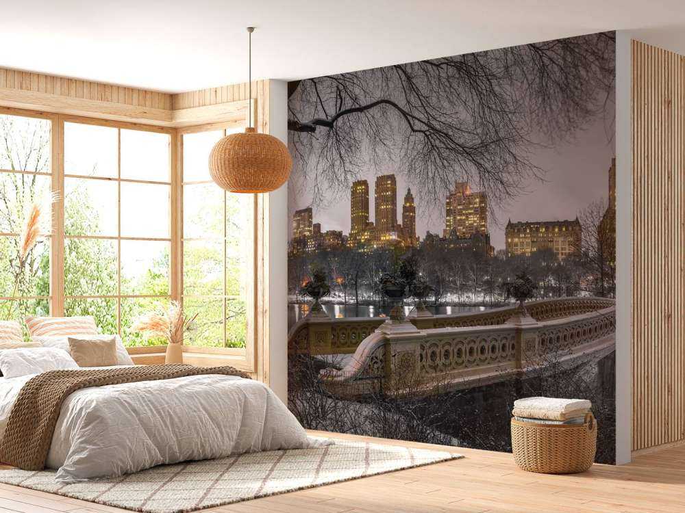 Central Park und Manhattan