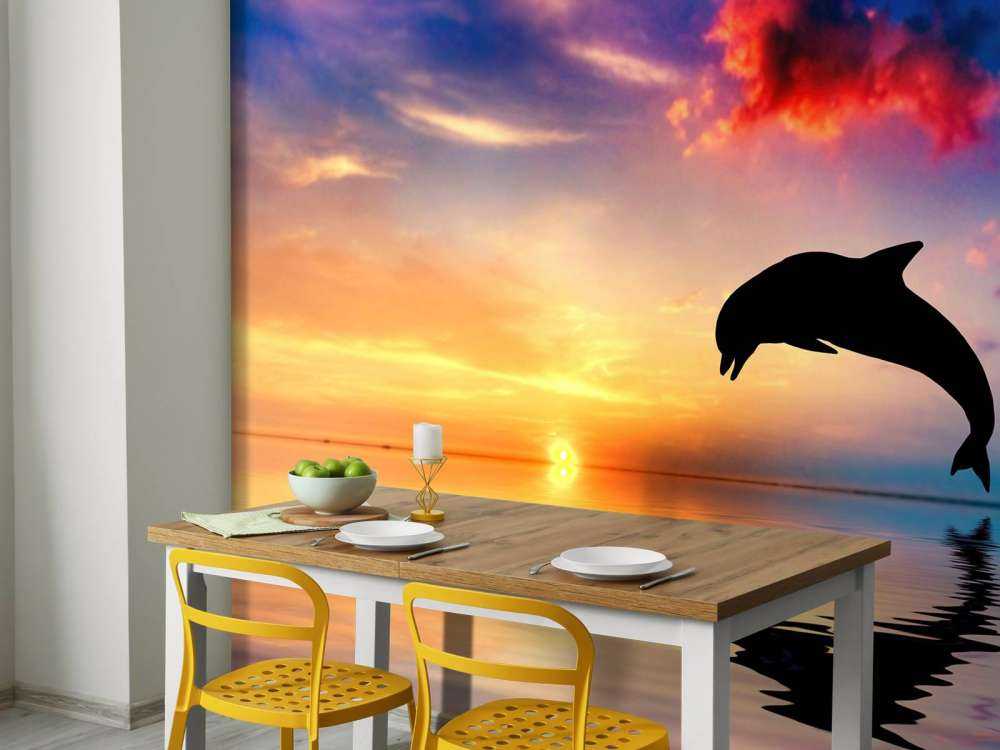 Delfin Silhouette