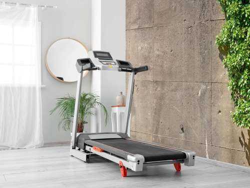 Beton mit Strauch