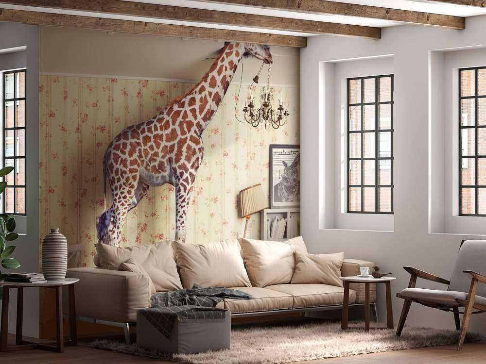 Giraffe im Wohnzimmer