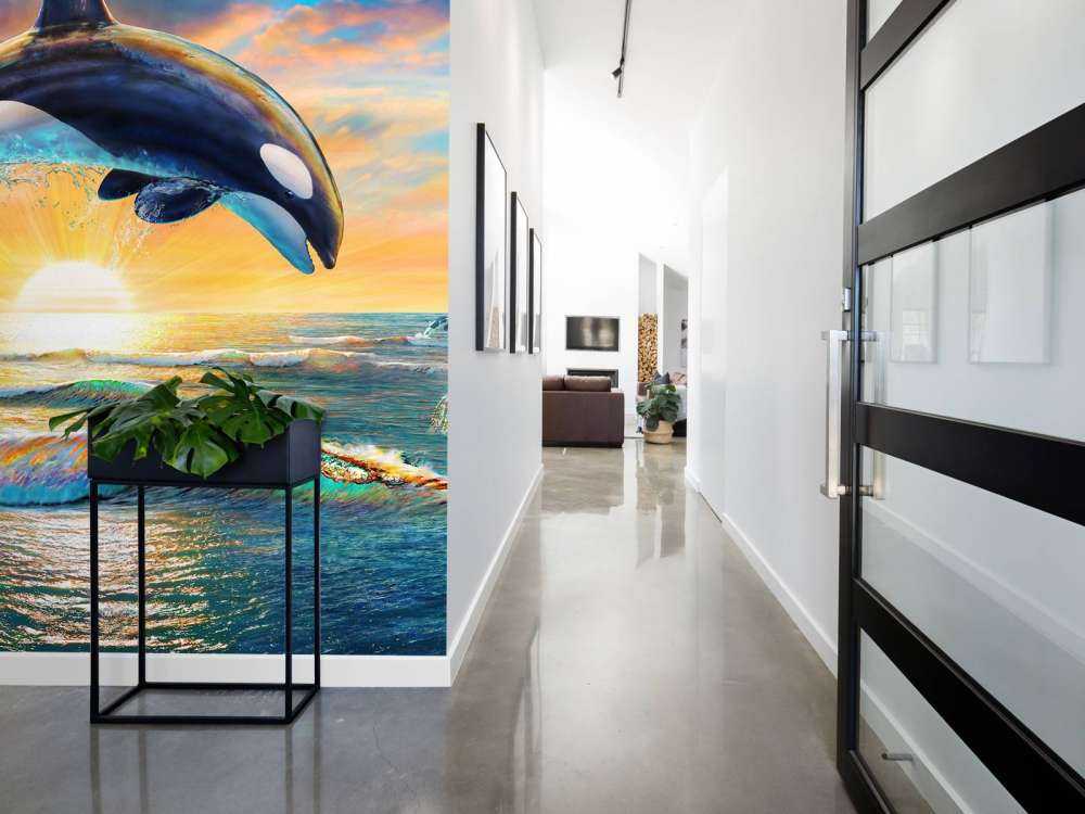 Orca Dawn