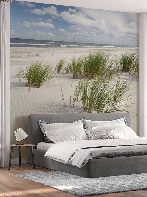 Strand mit Dünenpflanzen