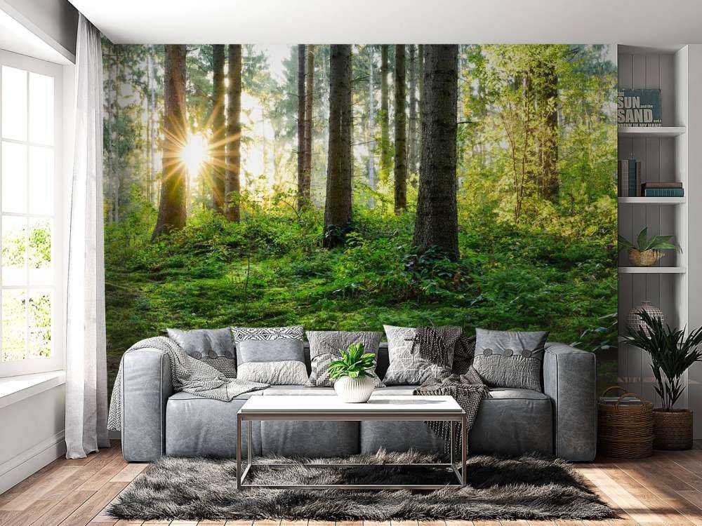 Waldpanorama im Frühling