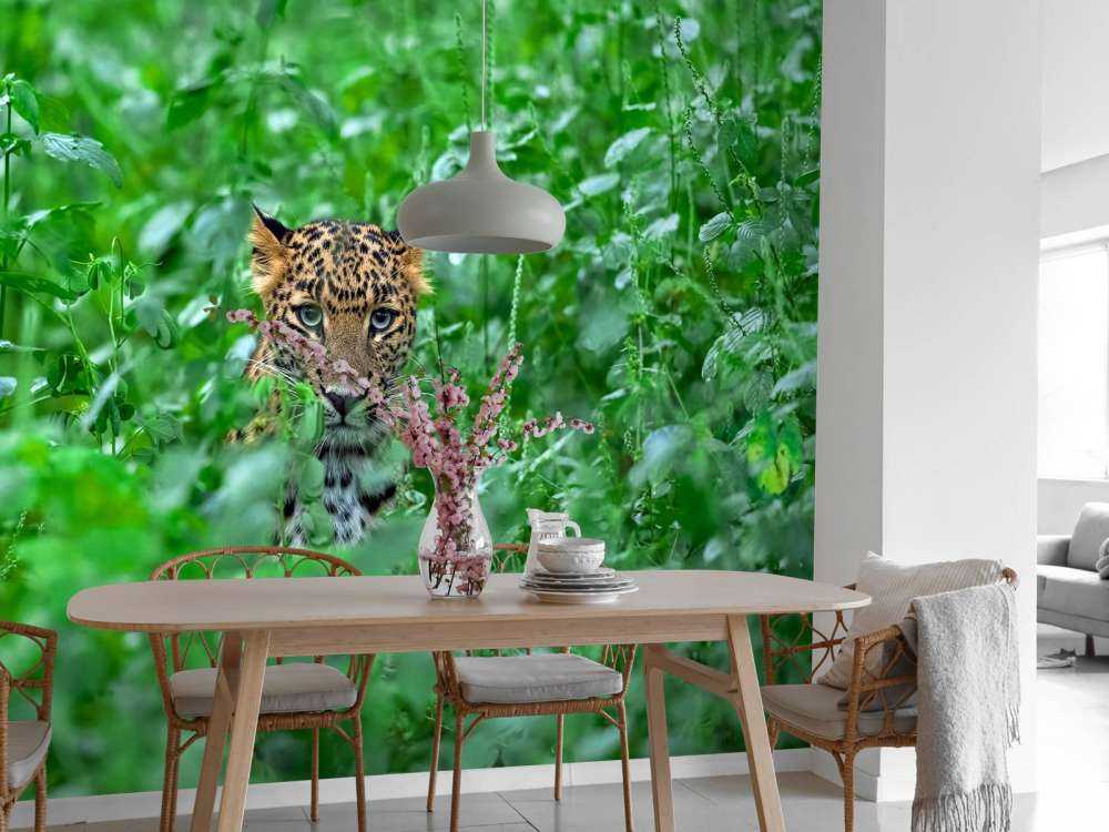 Leopard im Wald
