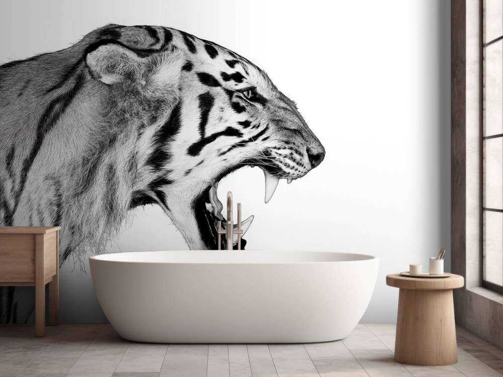 Brüllender Tiger weiß