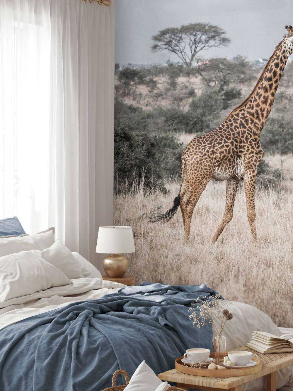 Giraffen-Portrait